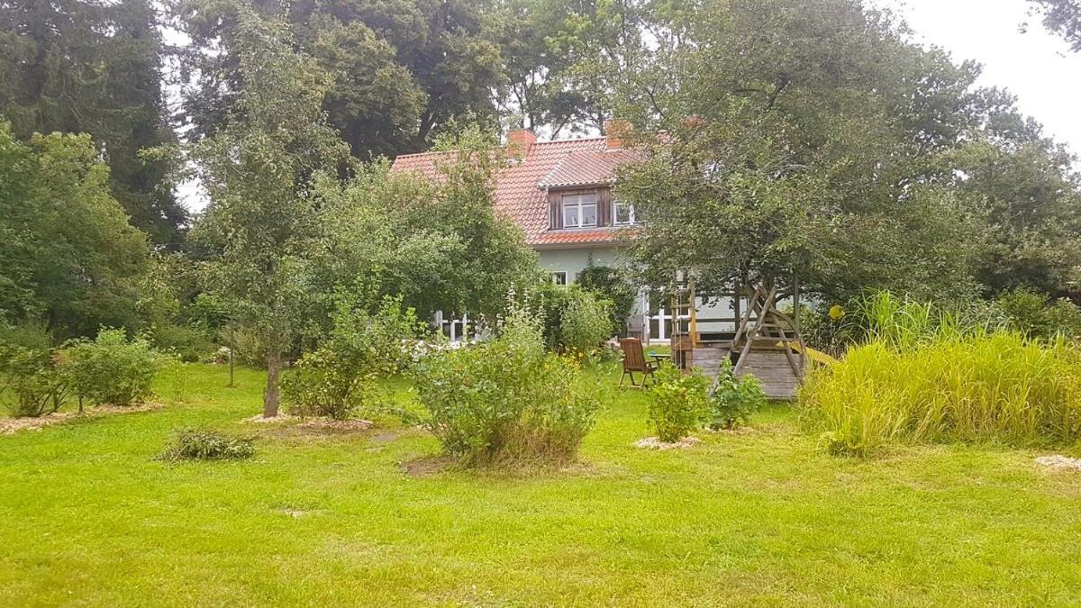 Ferienhaus Salvia Gremersdorf-Buchholz Εξωτερικό φωτογραφία