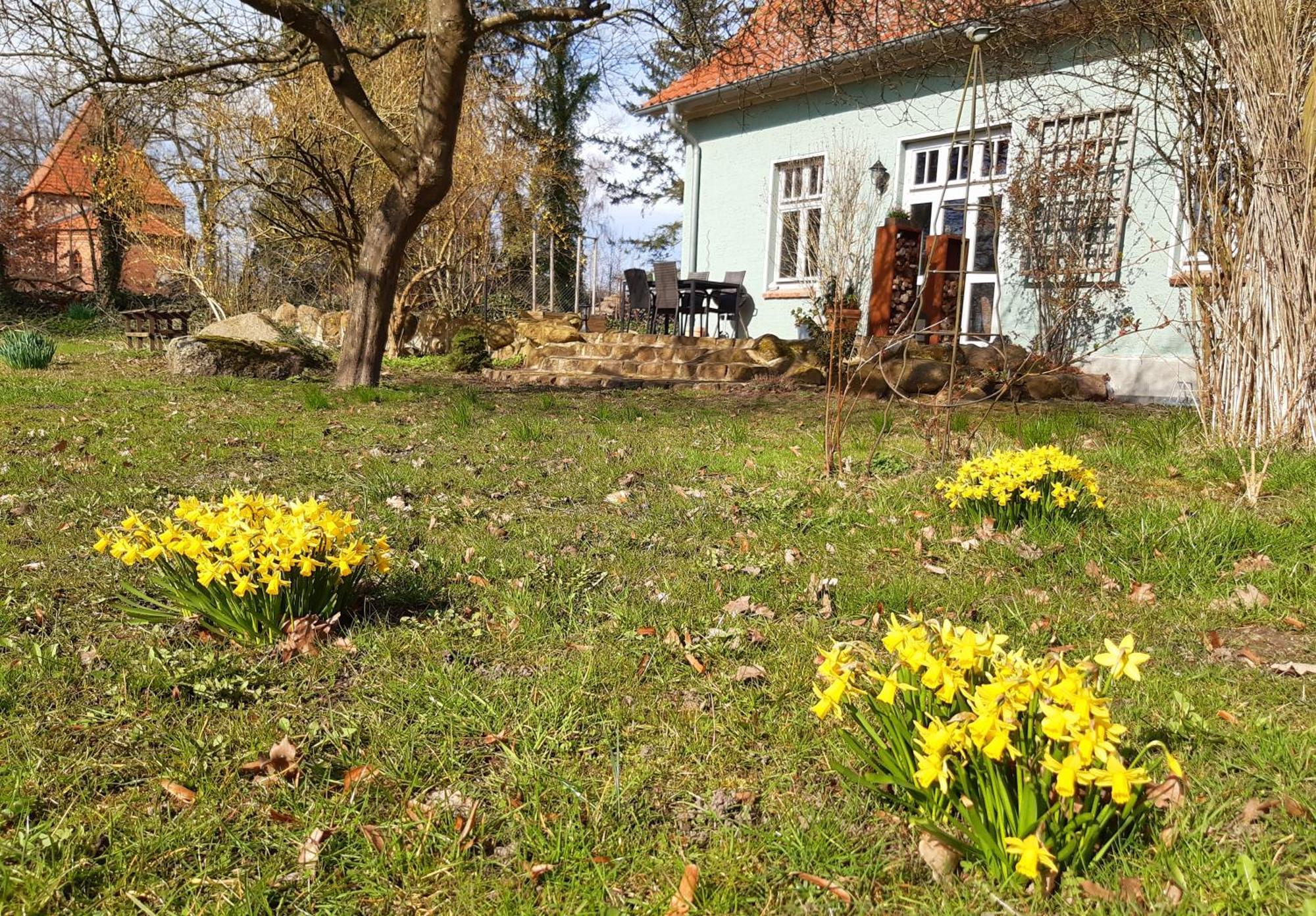Ferienhaus Salvia Gremersdorf-Buchholz Εξωτερικό φωτογραφία