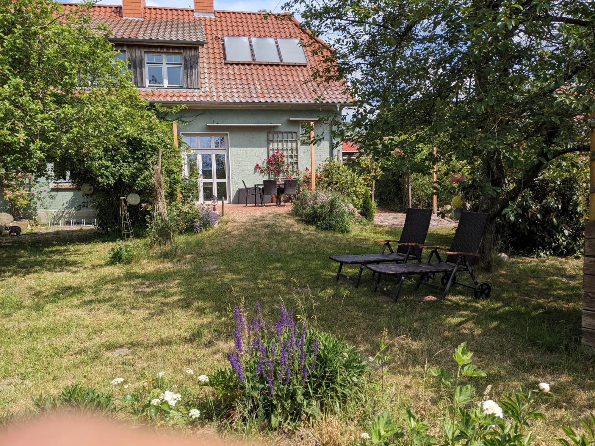 Ferienhaus Salvia Gremersdorf-Buchholz Εξωτερικό φωτογραφία