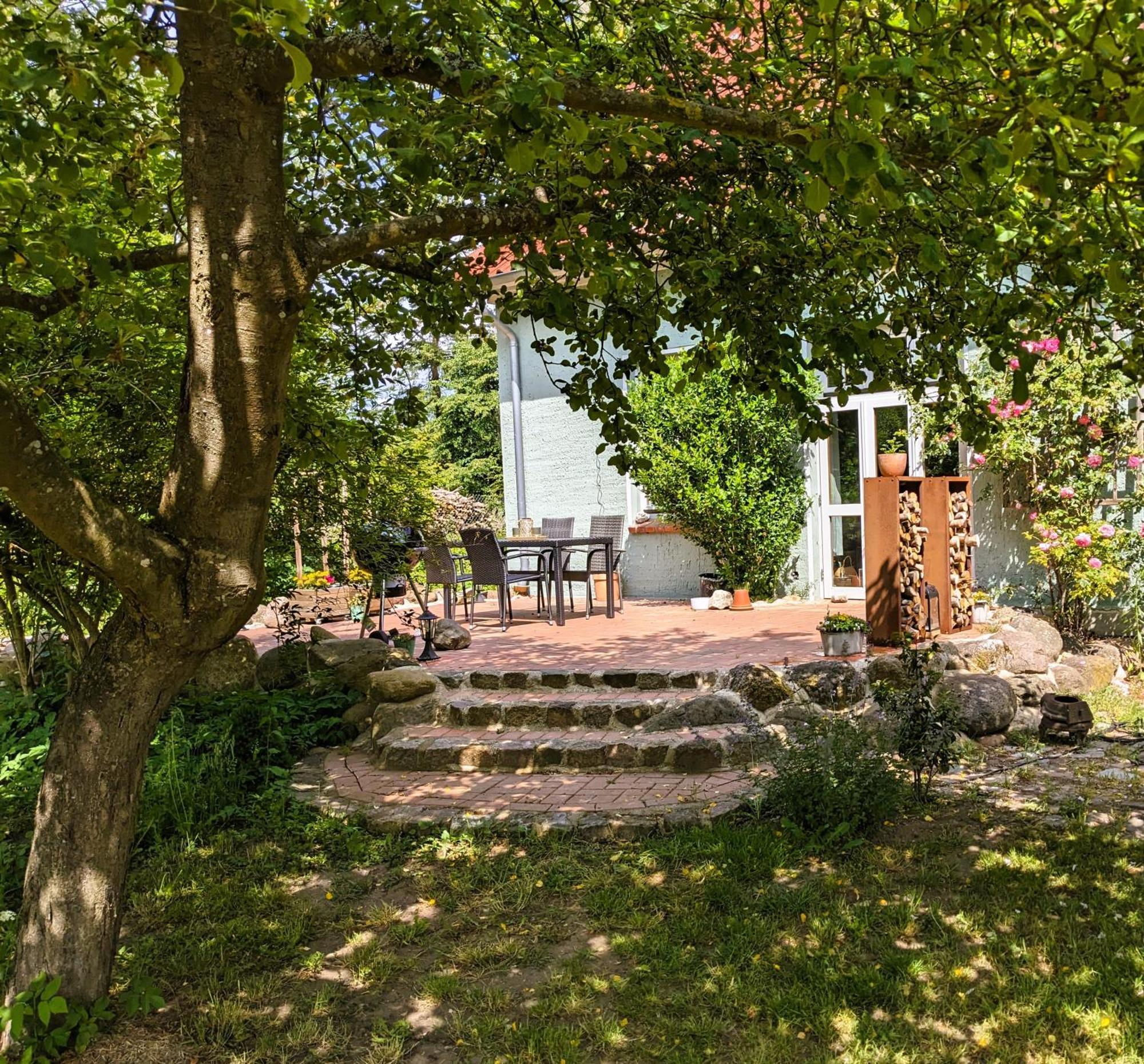 Ferienhaus Salvia Gremersdorf-Buchholz Εξωτερικό φωτογραφία